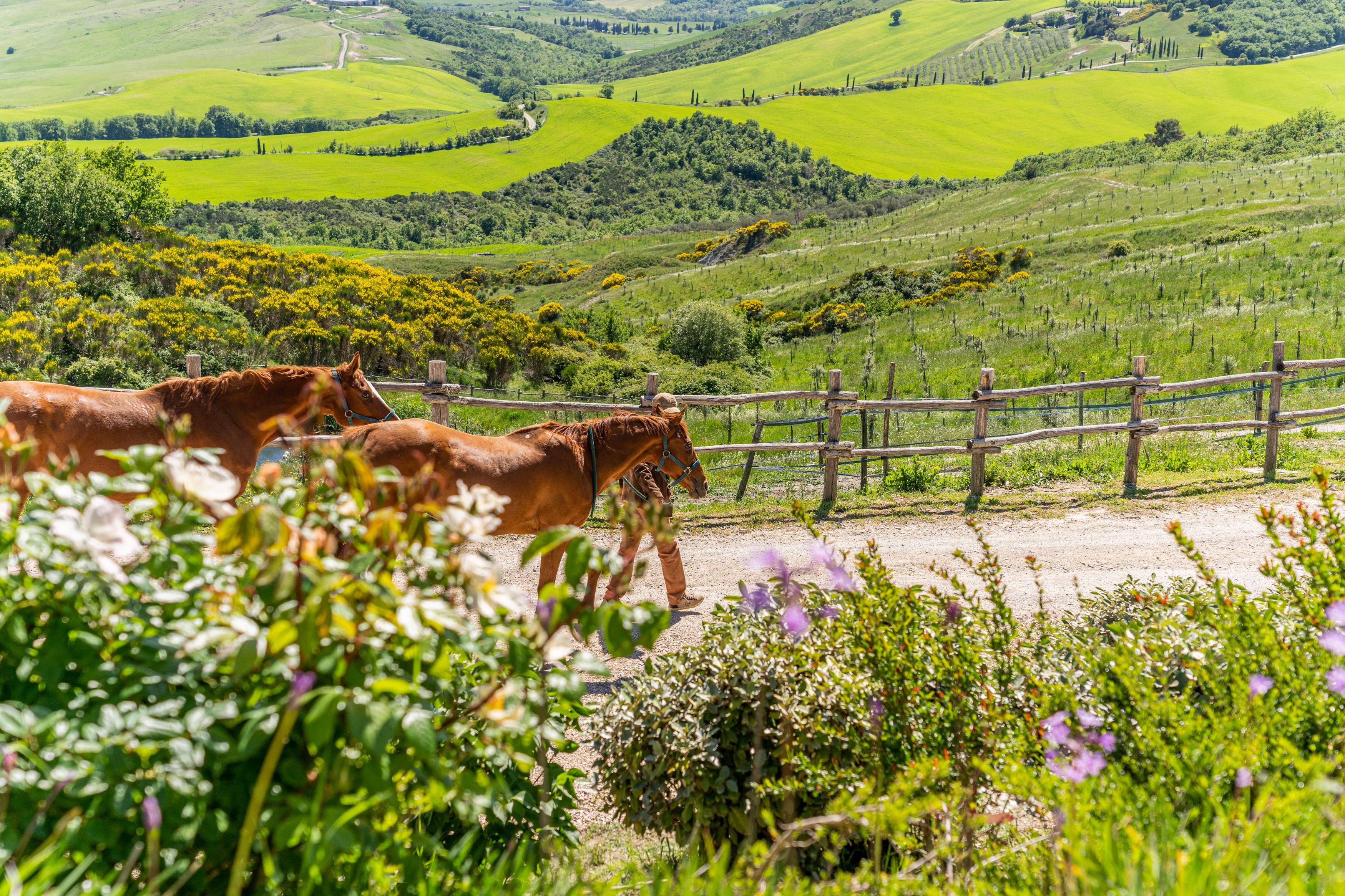 Podere Val D'Orcia - Tuscany Equestrian Sarteano Ngoại thất bức ảnh